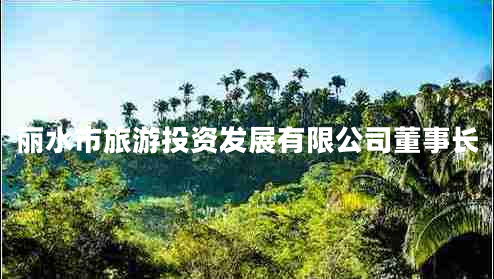 麗水市旅游投資發(fā)展有限公司董事長(cháng)
