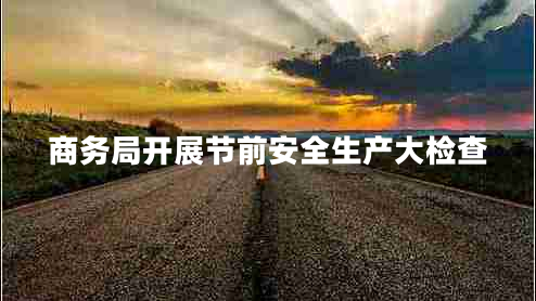 商務(wù)局開(kāi)展節前安全生產(chǎn)大檢查