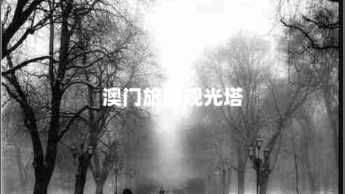 澳門(mén)旅游觀(guān)光塔