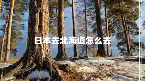 日本去北海道怎么去 日本去北海道怎么去