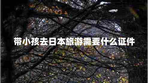 帶小孩去日本旅游需要什么證件