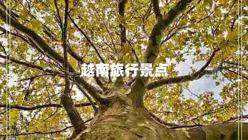 越南旅行景點(diǎn)