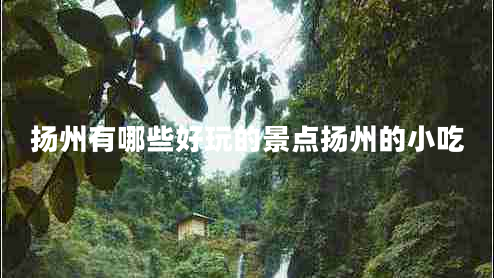 揚州有哪些好玩的景點(diǎn)揚州的小吃