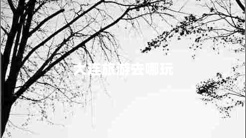 大連旅游去哪玩