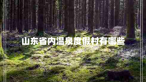 山東省內溫泉度假村有哪些