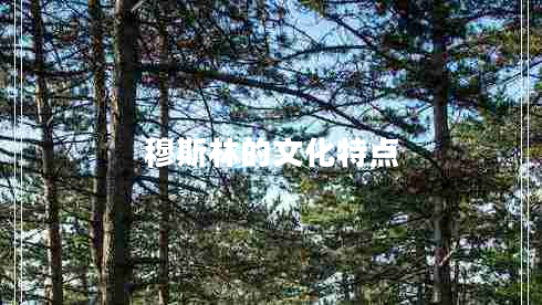 穆斯林的文化特點(diǎn)