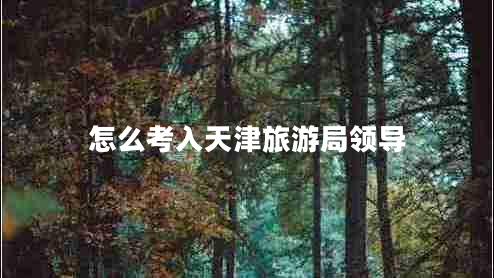怎么考入天津旅游局領(lǐng)導