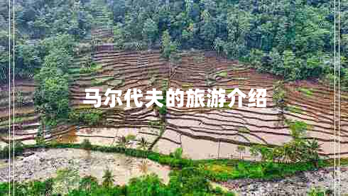 馬爾代夫的旅游介紹