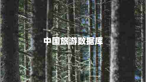 中國旅游數據庫