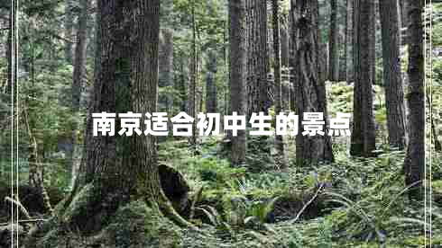 南京適合初中生的景點(diǎn)