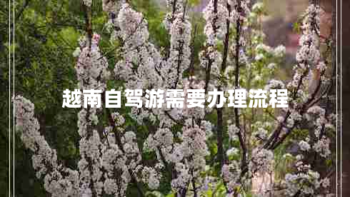 越南自駕游需要辦理流程