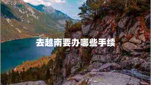 去越南要辦哪些手續