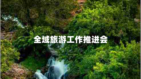 全域旅游工作推進(jìn)會(huì )