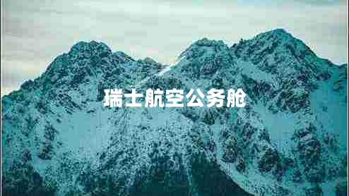 瑞士航空公務(wù)艙 瑞士航空公務(wù)艙