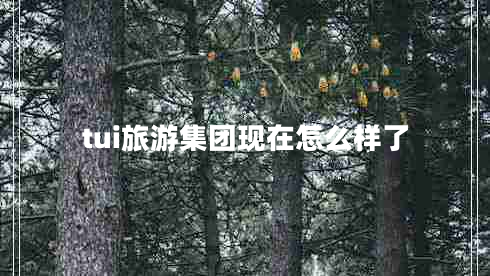 tui旅游集團現在怎么樣了
