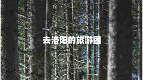 去洛陽(yáng)的旅游團