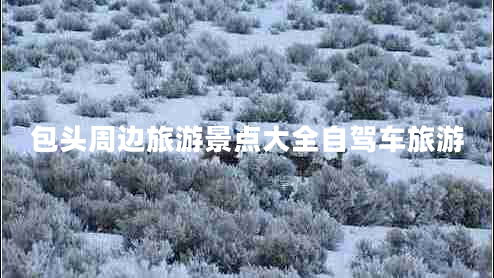 包頭周邊旅游景點(diǎn)大全自駕車(chē)旅游