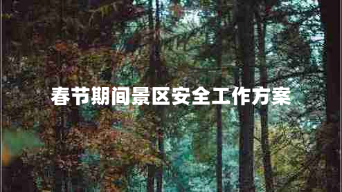 春節期間景區安全工作方案