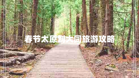 春節太原到大同旅游攻略