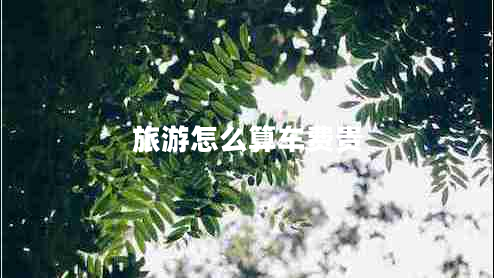 旅游怎么算車(chē)費貴