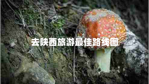 去陜西旅游最佳路線(xiàn)圖 去陜西旅游最佳路線(xiàn)圖