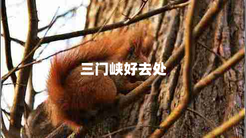 三門(mén)峽好去處