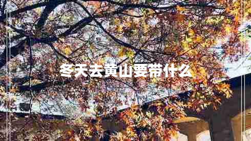 冬天去黃山要帶什么