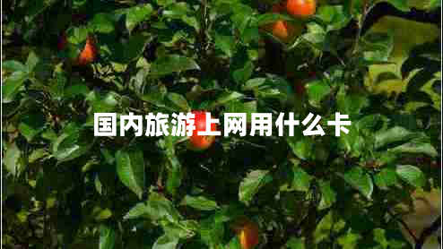 國內旅游上網(wǎng)用什么卡