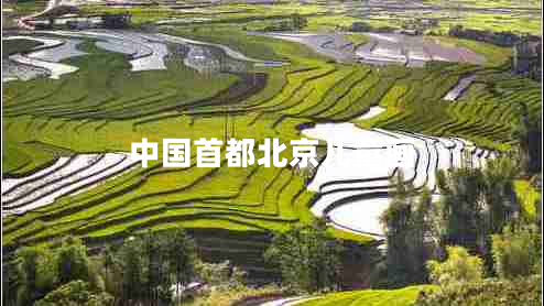 中國首都北京兒童畫(huà)