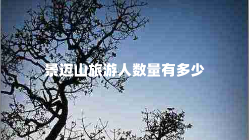 景邁山旅游人數量有多少