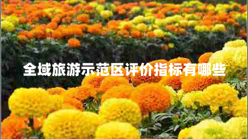 全域旅游示范區評價(jià)指標有哪些