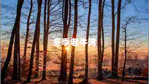 冬季老牛灣 冬季老牛灣