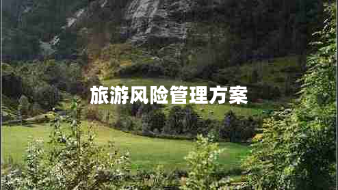 旅游風(fēng)險管理方案