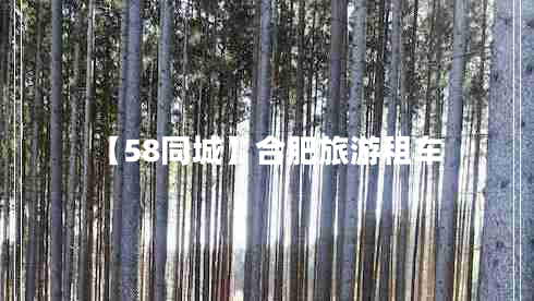 【58同城】合肥旅游租車(chē)