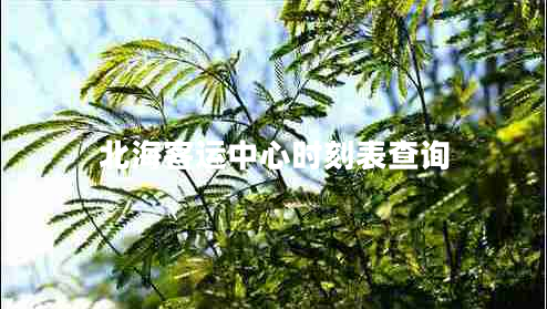 北?？瓦\中心時(shí)刻表查詢(xún)
