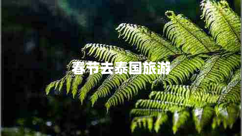 春節去泰國旅游