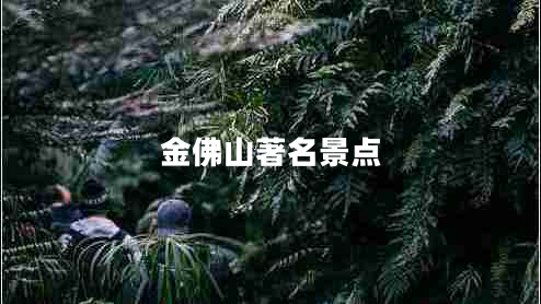 金佛山著(zhù)名景點(diǎn)