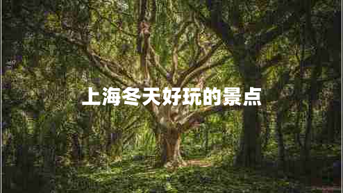 上海冬天好玩的景點(diǎn)