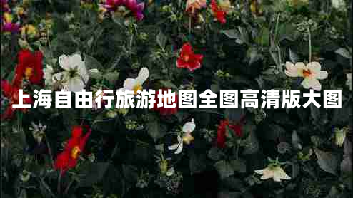 上海自由行旅游地圖全圖高清版大圖
