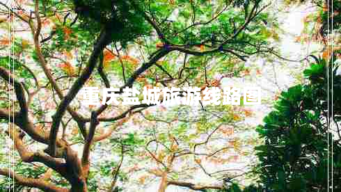 重慶鹽城旅游線(xiàn)路圖 重慶鹽城旅游線(xiàn)路圖