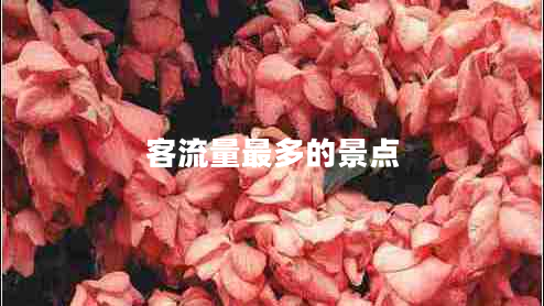 客流量最多的景點(diǎn) 客流量最多的景點(diǎn)