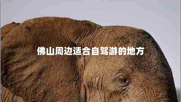 佛山周邊適合自駕游的地方