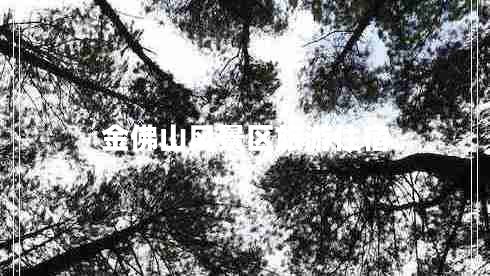 金佛山風(fēng)景區旅游住宿