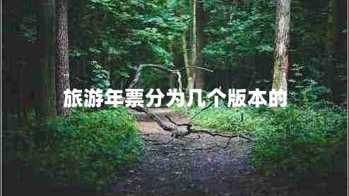 旅游年票分為幾個(gè)版本的