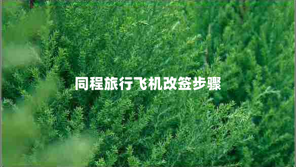 同程旅行飛機改簽步驟