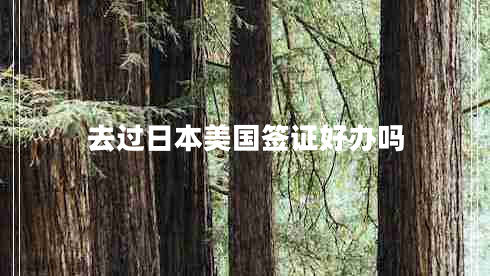 去過(guò)日本美國簽證好辦嗎