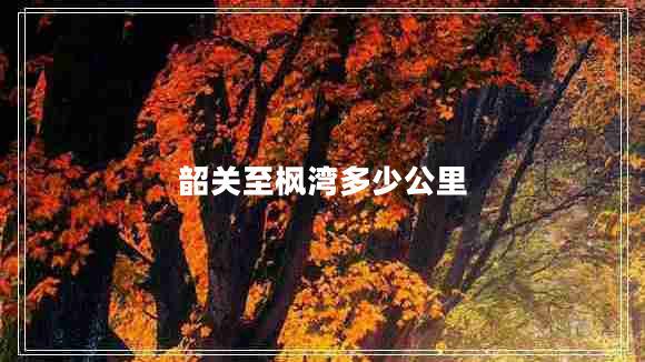 韶關(guān)至楓灣多少公里