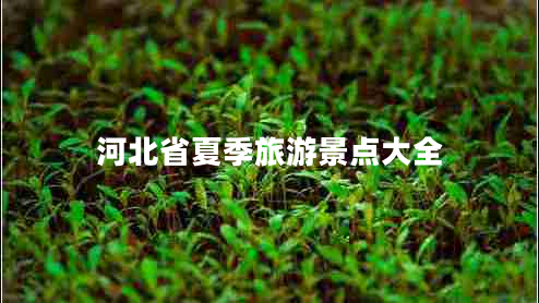 河北省夏季旅游景點(diǎn)大全 河北省夏季旅游景點(diǎn)大全