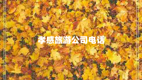 孝感旅游公司電話(huà) 孝感旅游公司電話(huà)