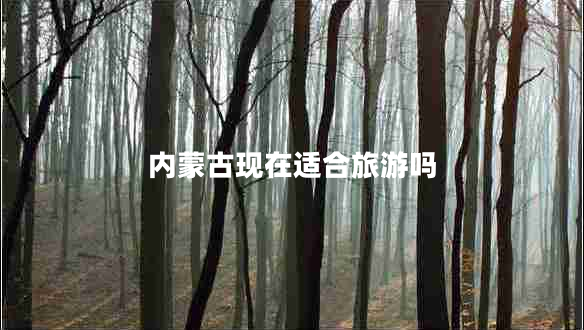 內蒙古現在適合旅游嗎